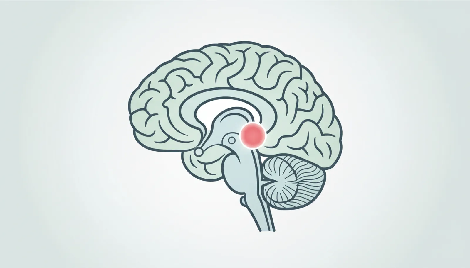 Вступление